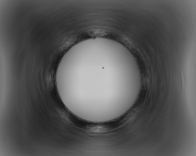 X0000086910460200705071307