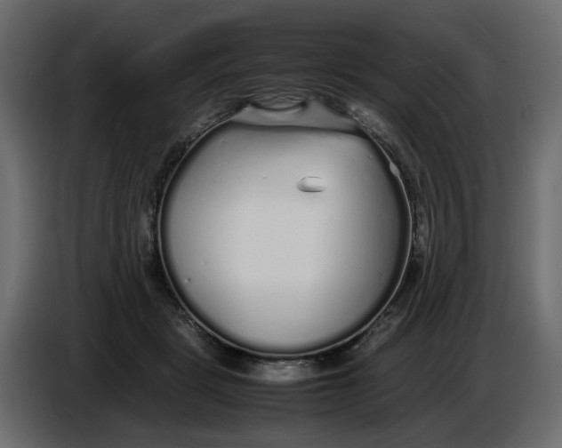 X0000086910461200705071307