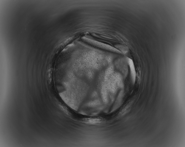 X0000086910462200705071307