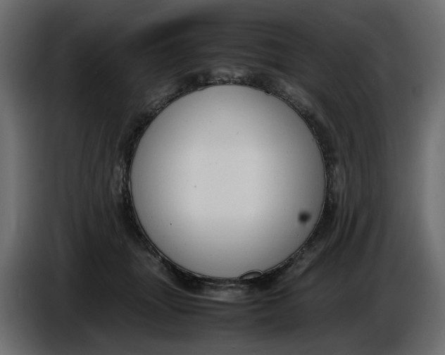 X0000086910463200705071307