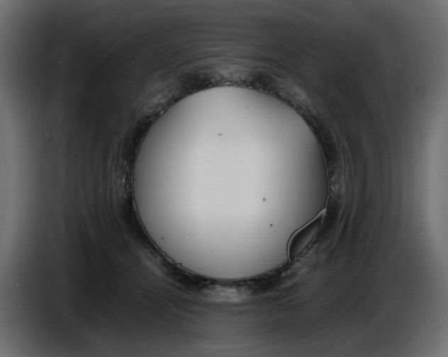 X0000086910464200705071307