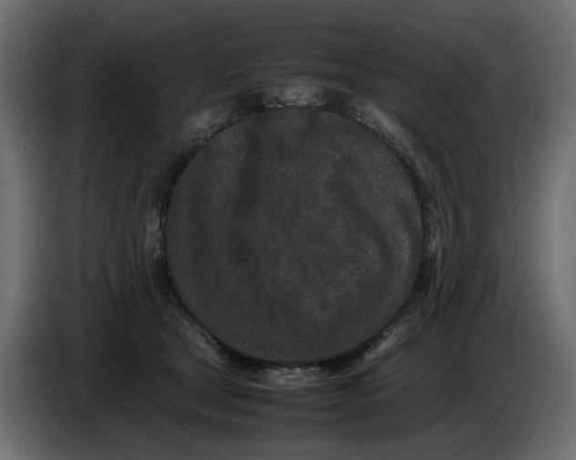 X0000086910465200705071307