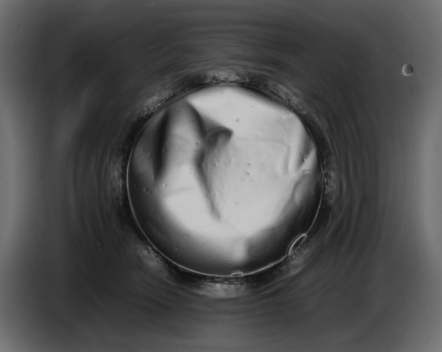 X0000086910466200705071307