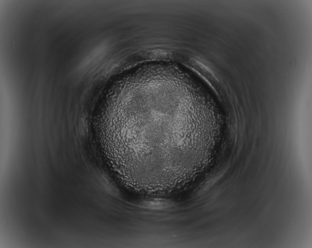 X0000086910467200705071307