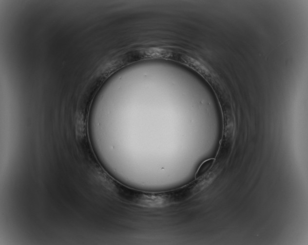 X0000086910469200705071307