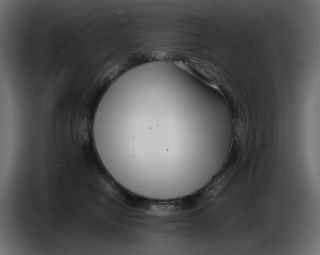 X0000086910470200705071307