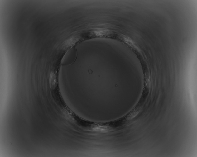 X0000086910471200705071307