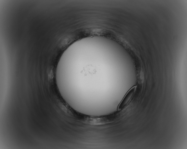 X0000086910472200705071307