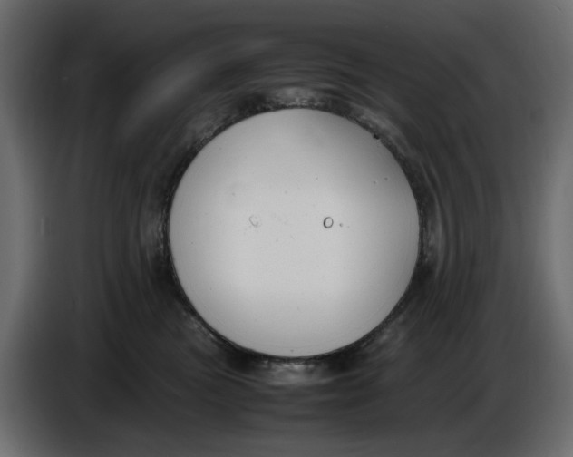 X0000086910473200705071307