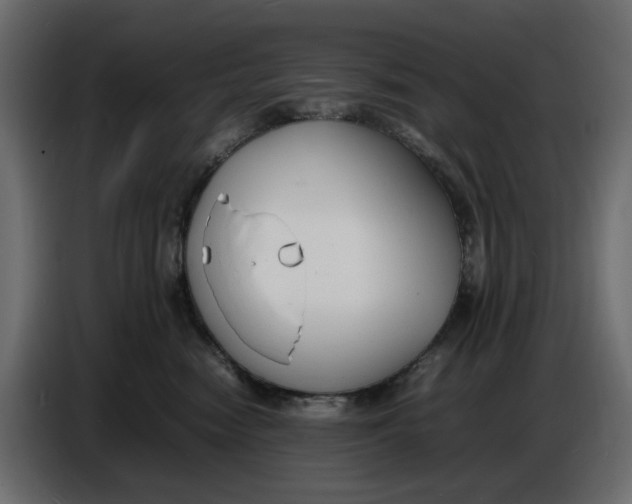 X0000086910474200705071307