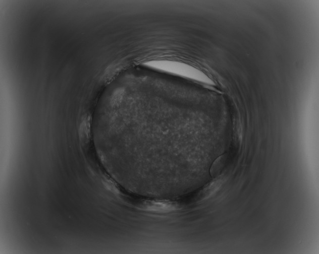 X0000086910475200705071307