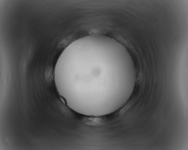 X0000086910478200705071307