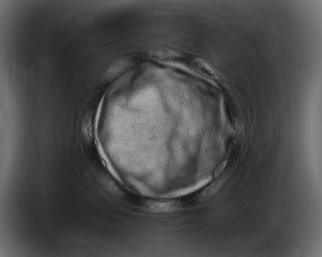 X0000086910479200705071307