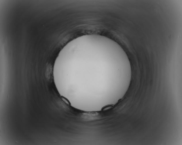 X0000086910480200705071307