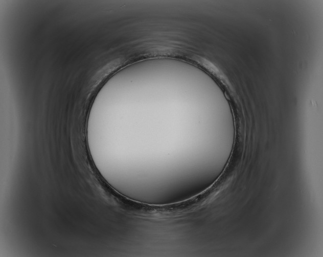 X0000086910481200705071307