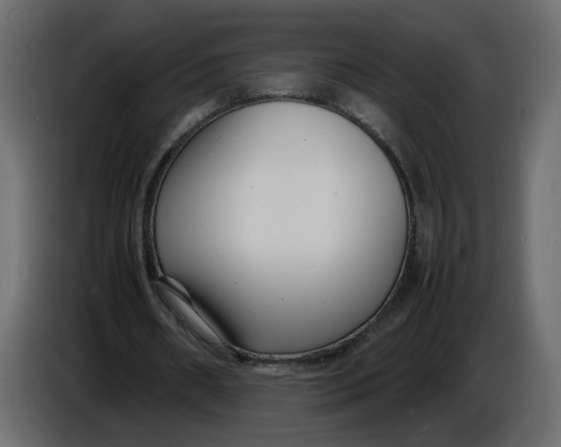 X0000086910482200705071307