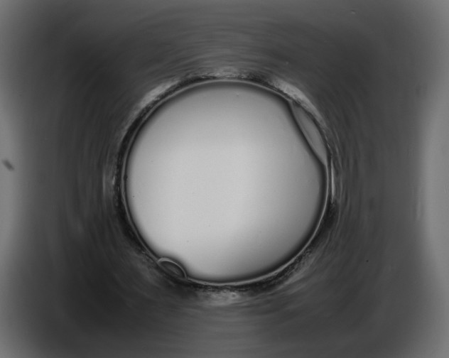 X0000086910483200705071307