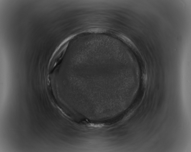 X0000086910484200705071307