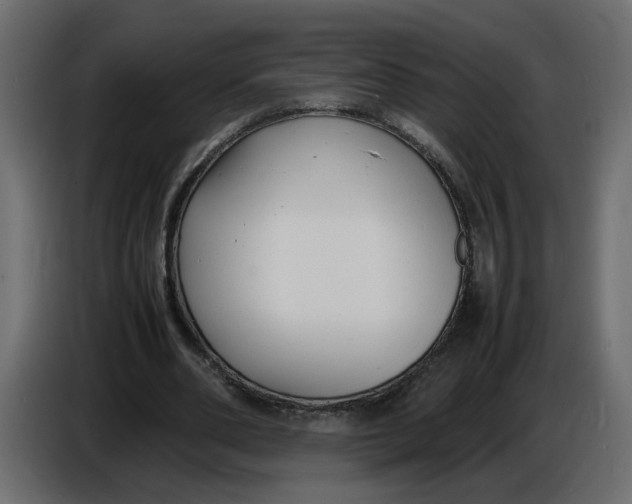 X0000086910486200705071307