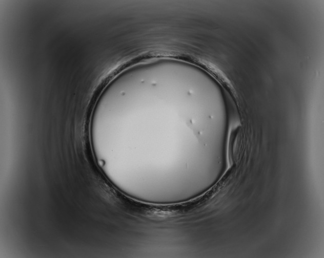 X0000086910487200705071307