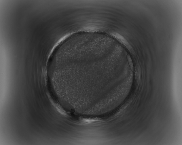 X0000086910488200705071307