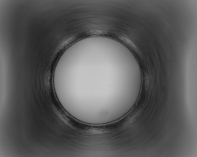 X0000086910490200705071307