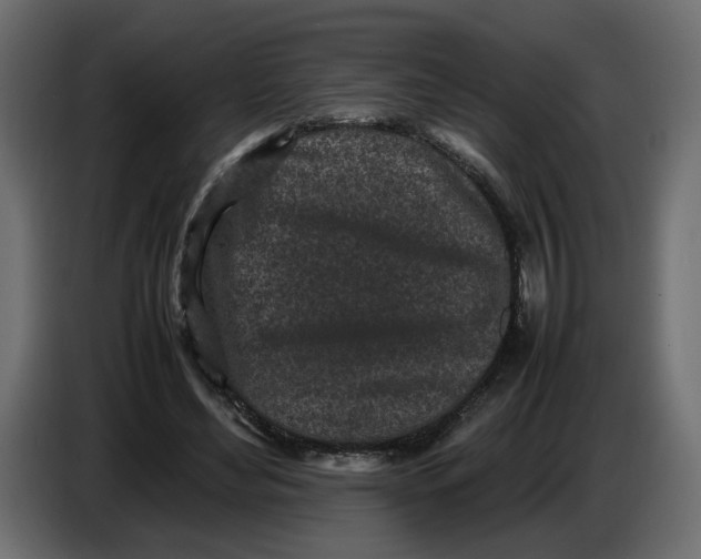 X0000086910492200705071307