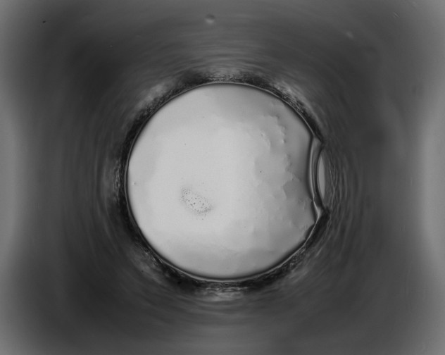 X0000086910495200705071307