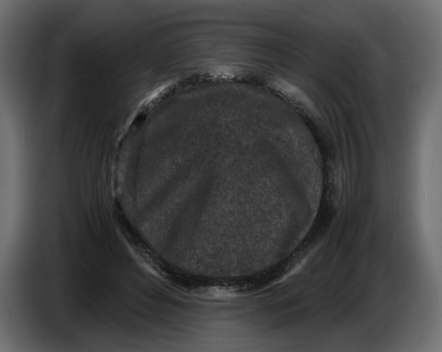 X0000086910496200705071307