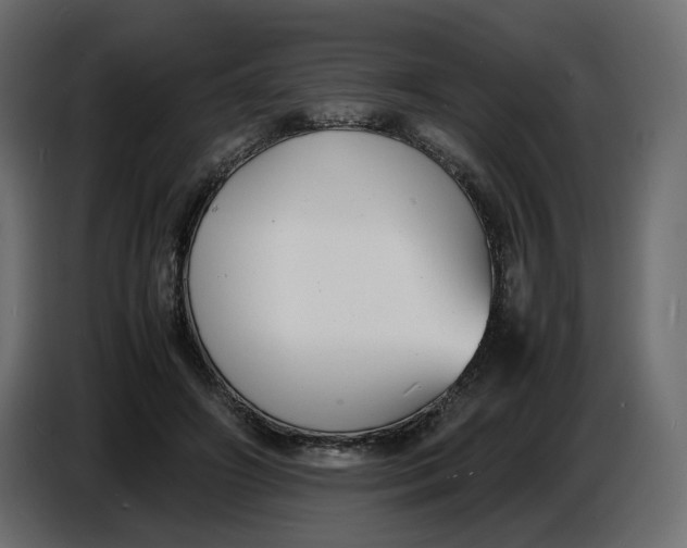 X0000086910498200705071307