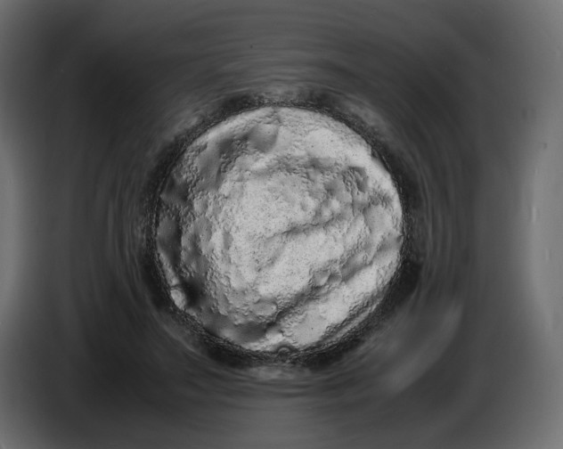 X0000086910499200705071307