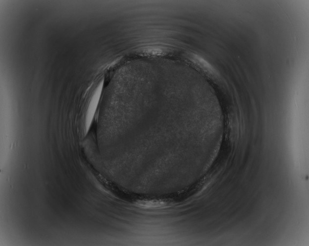 X0000086910500200705071307