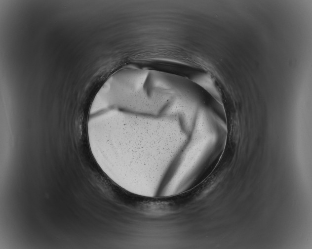 X0000086910501200705071306