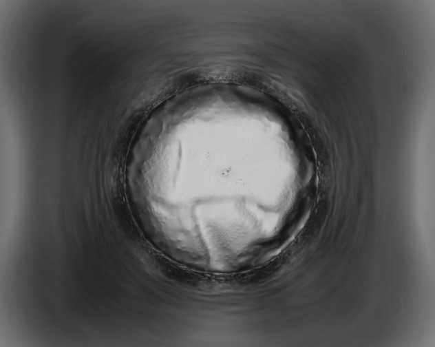 X0000086910503200705071306