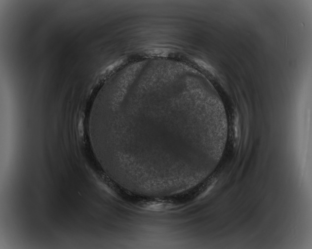 X0000086910504200705071306