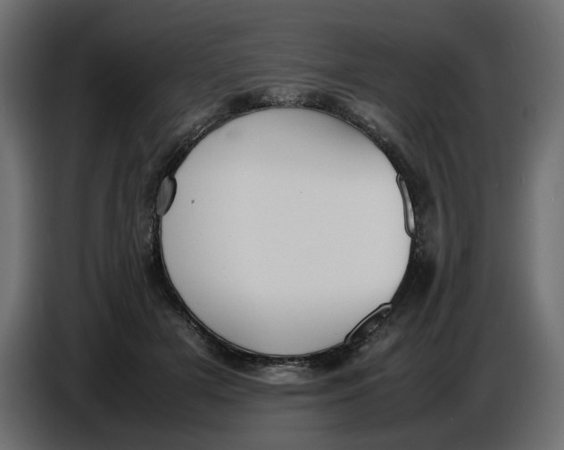 X0000086910505200705071306