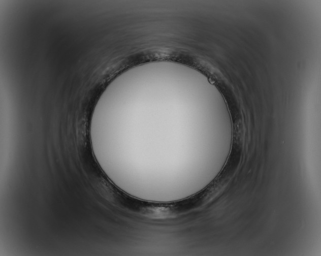 X0000086910509200705071306