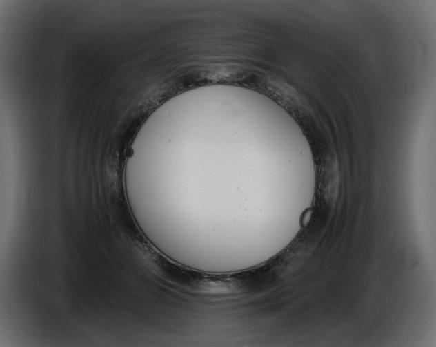 X0000086910510200705071306