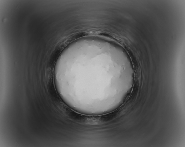 X0000086910511200705071306