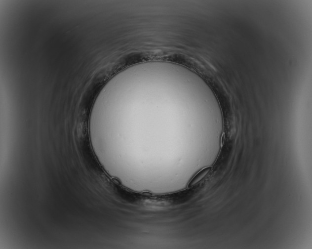 X0000086910515200705071306