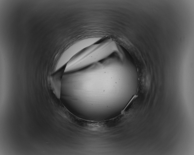 X0000086910516200705071306