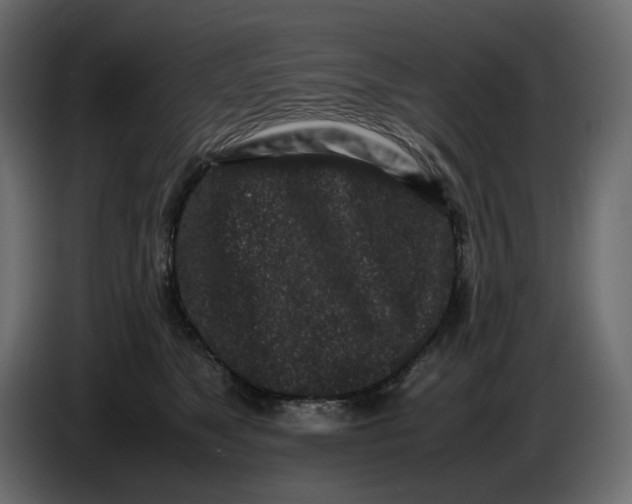 X0000086910517200705071306