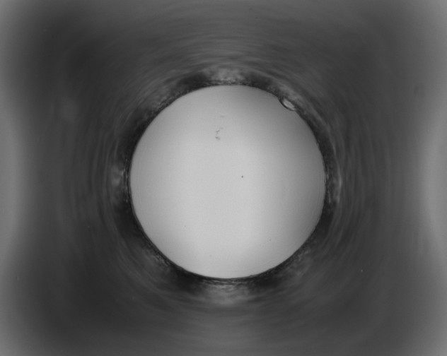 X0000086910521200705071306