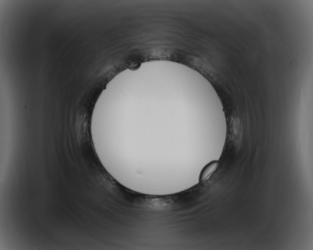 X0000086910522200705071306