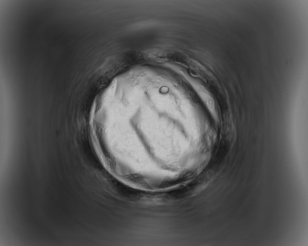 X0000086910523200705071306