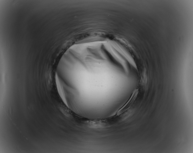 X0000086910524200705071306