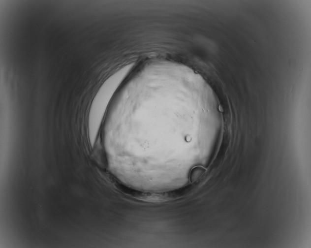 X0000086910527200705071306