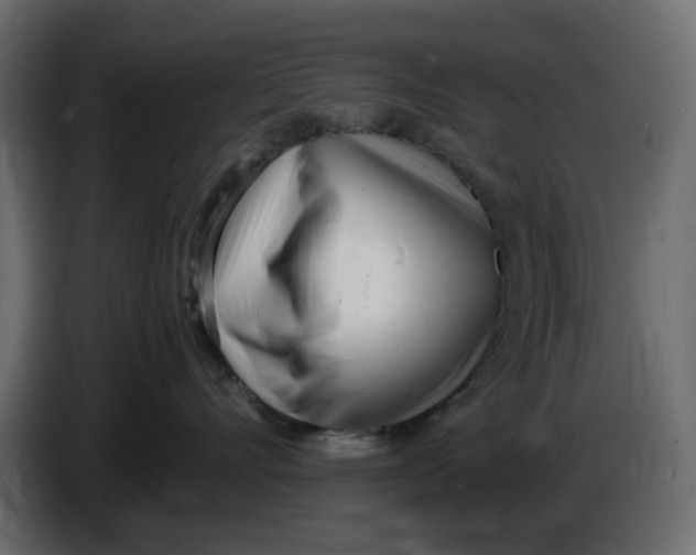 X0000086910528200705071306