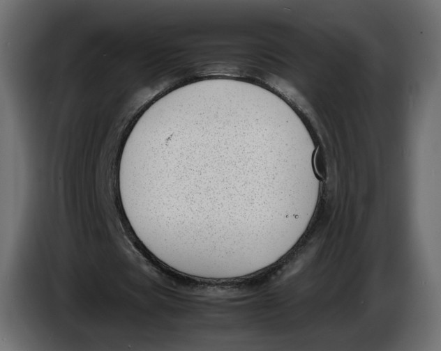 X0000086910529200705071306