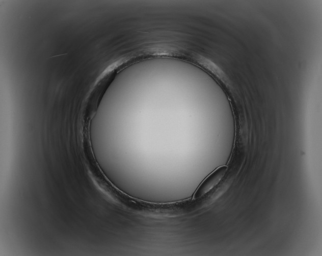 X0000086910530200705071306